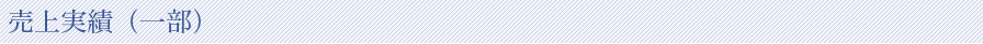 売上実績（一部）